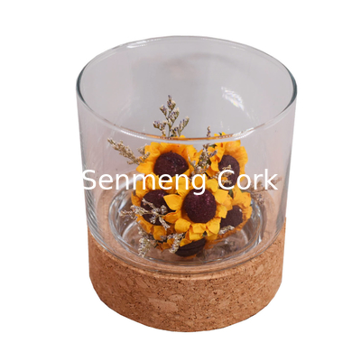 Toxicless Odorless Glass Jar Cork Wood Base Groove 2.5 Inch for Micro Landscape